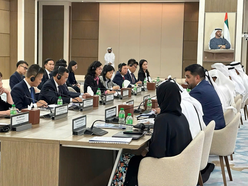 Đoàn công tác Việt Nam tham dự Phiên toàn thể.