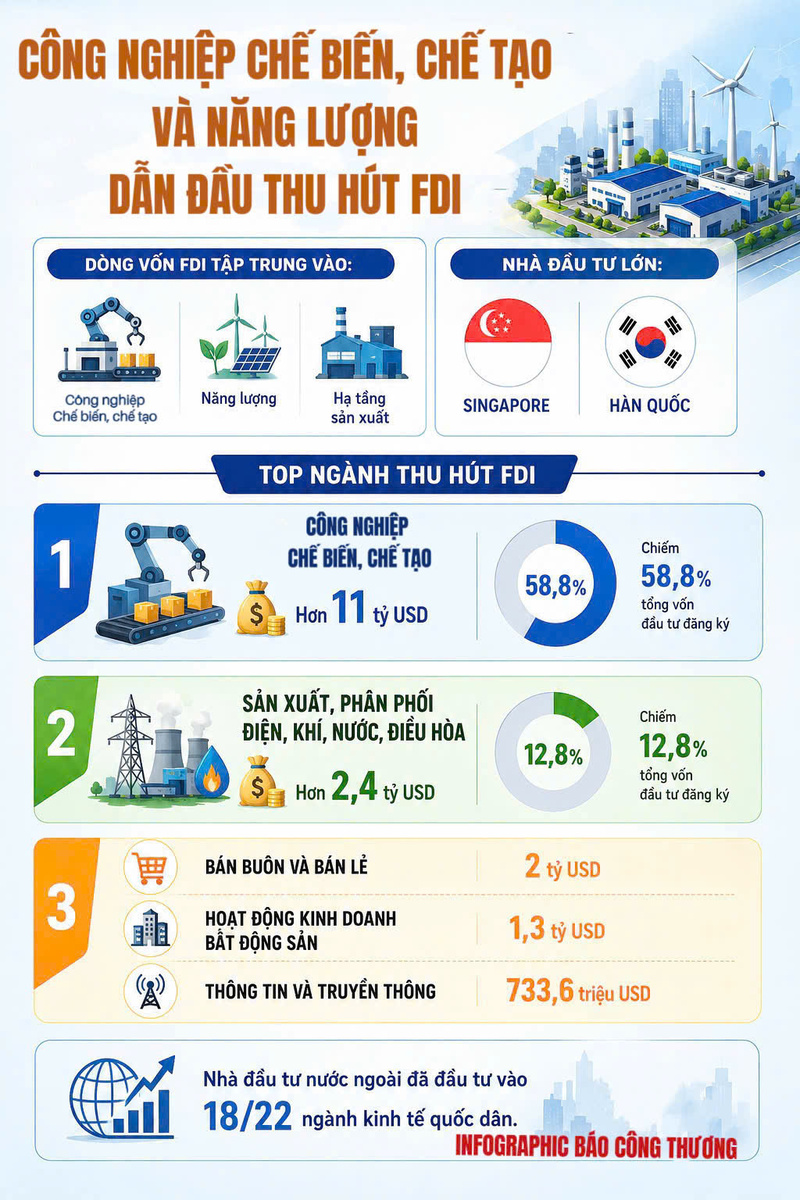 Infographic: Cẩm An