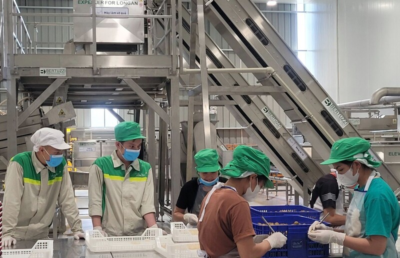 Sơn La có nhiều lợi thế phát triển công nghiệp chế biến. Ảnh: Diệp Hương