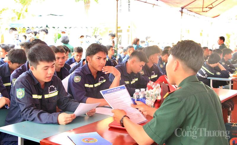 Tại ngày hội, nhiều doanh nghiệp đã trực tiếp tư vấn tuyển dụng, giới thiệu vị trí việc làm, mức thu nhập và cơ hội phát triển nghề nghiệp cho học sinh, sinh viên.