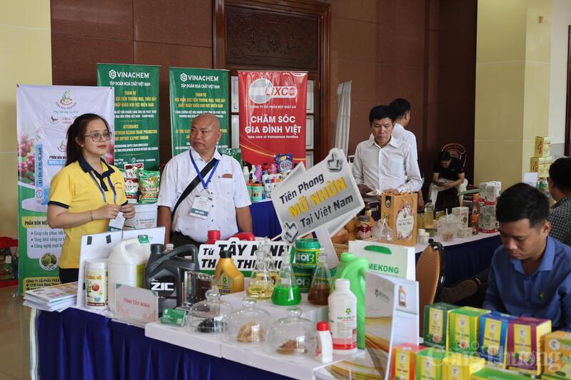 Gian trưng bày sản phẩm đặc trưng của các địa phương khu vực phía Nam trong khuôn khổ hội nghị.