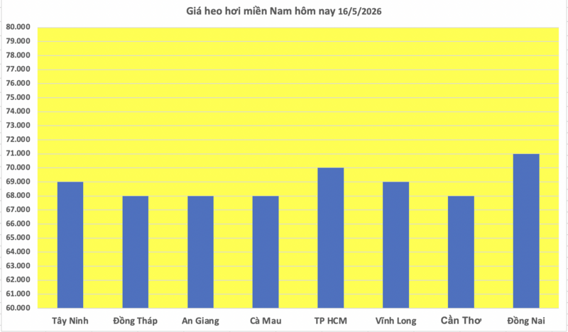 Giá heo hơi hôm nay 16/5/2026: Miền Nam giữ đỉnh 71.000 đồng/kg - 1