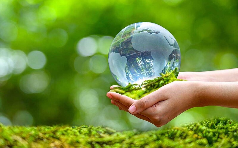 Dự thảo Luật sửa đổi, bổ sung một số điều của Luật Bảo vệ môi trường 2020 được kỳ vọng tạo "cú hích" cho kinh tế xanh. Ảnh minh họa