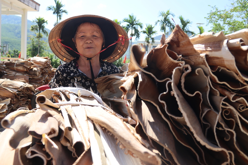 Các bẹ cau được cắt gọn, phơi khô, bó gọn gàng, đến cuối tuần đem ra sân nhà văn hóa thôn để bán. Ảnh: Nguyễn Dương