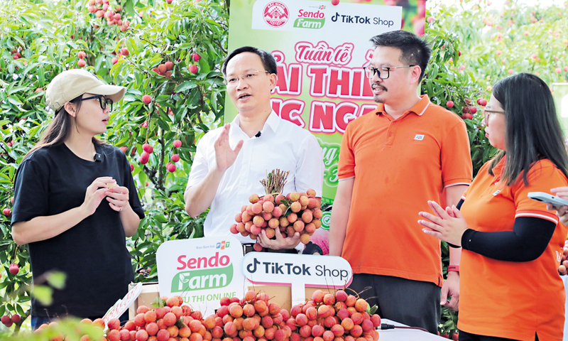 Phó Chủ tịch UBND tỉnh UBND Bắc Ninh Phạm Văn Thịnh (áo trắng) livestream bán vải thiều cho nông dân. Ảnh: TL