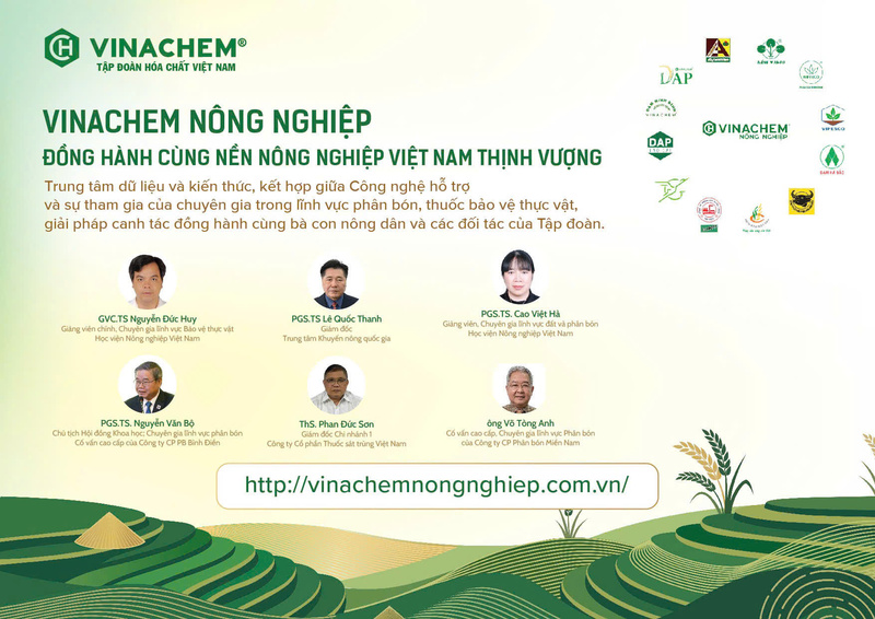 Chuẩn bị ra mắt nền tảng tri thức số 'Vinachem nông nghiệp' - 2