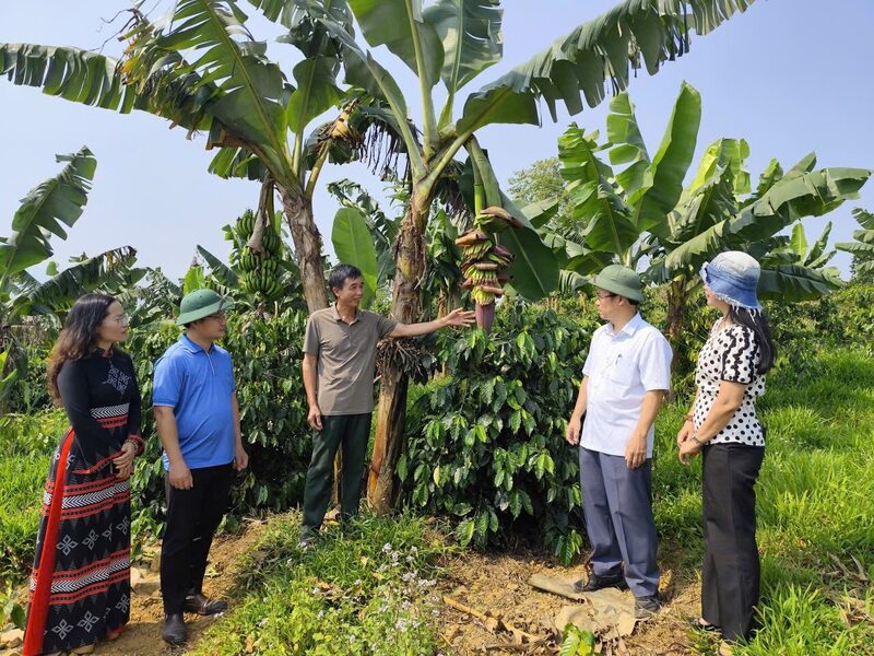Lãnh đạo UBND xã A Lưới 2 khảo sát thực tế các mô hình kinh tế hiệu quả trên địa bàn. Ảnh: Nguyễn Tuấn