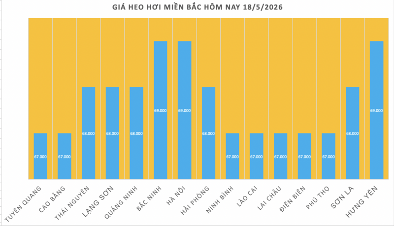 Giá heo hơi hôm nay 18/5/2026: Rớt đỉnh tại miền Nam - 1