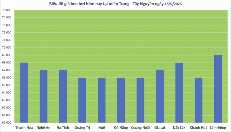 Giá heo hơi hôm nay 18/5/2026: Rớt đỉnh tại miền Nam - 2