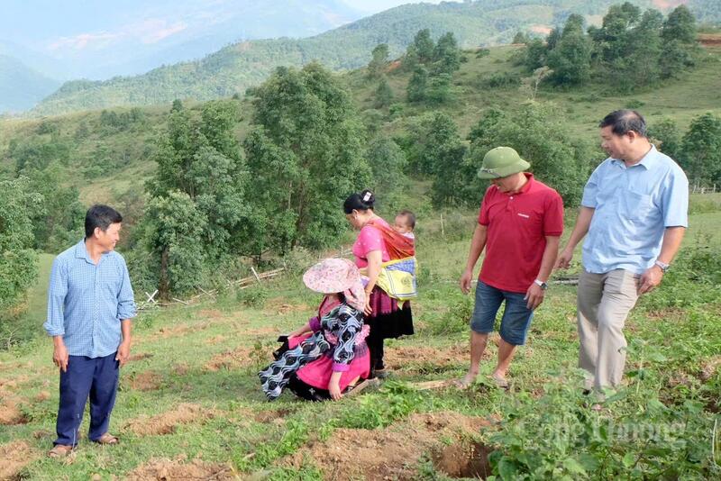 Cán bộ phòng Kinh tế xã Tủa Chùa cùng bà con thăm các hố đất đã đào chuẩn bị cho mùa gieo hạt.