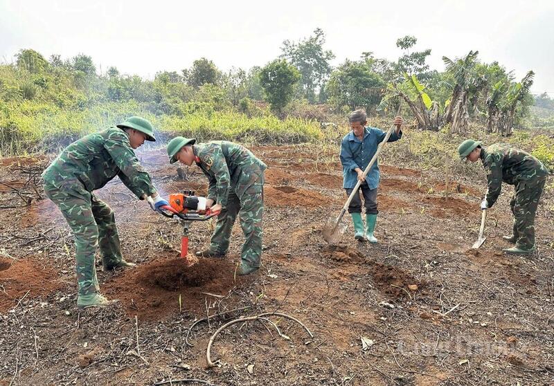 Chiến sĩ Bộ Chỉ huy Quân sự tỉnh Điện Biên cùng nhân dân các xã tham gia đào hố trồng cây mắc ca, cà phê tại điểm bản Xá Nhù, xã Thanh Nưa.