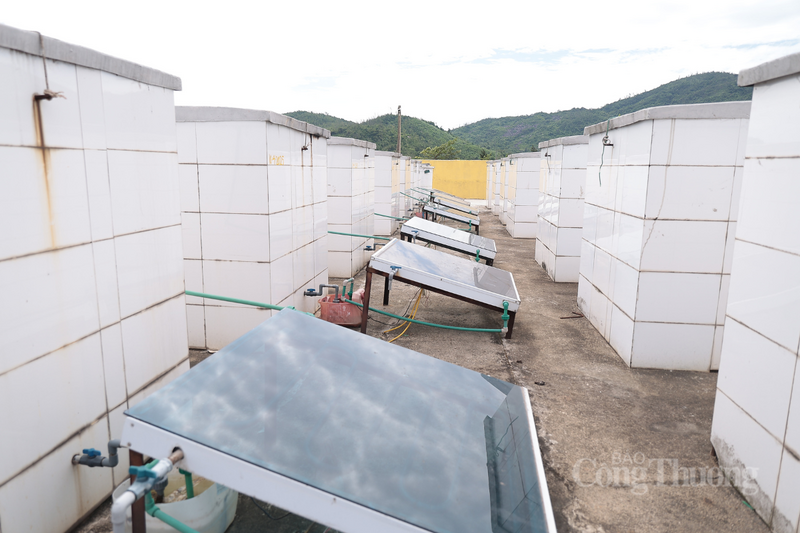 Hà Tĩnh: Chuyển đổi xanh trong chế biến nâng tầm thương hiệu nước mắm truyền thống - 4