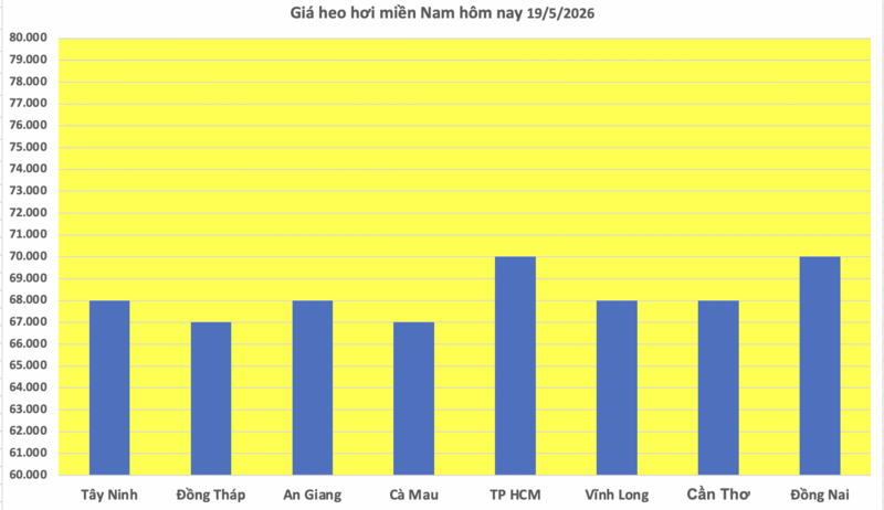 Giá heo hơi hôm nay 19/5/2026: Giảm diện rộng tại miền Nam - 3