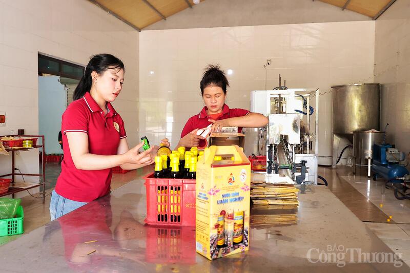 Thực tiễn tại HTX Phú Khương và HTX Chiến Thắng đang phác họa rõ nét định hướng phát triển của tiểu thủ công nghiệp và thương mại nông thôn tại Hà Tĩnh. Qua đó, củng cố vị thế tại thị trường nội địa, sẵn sàng tâm thế gia nhập chuỗi cung ứng xuất khẩu.