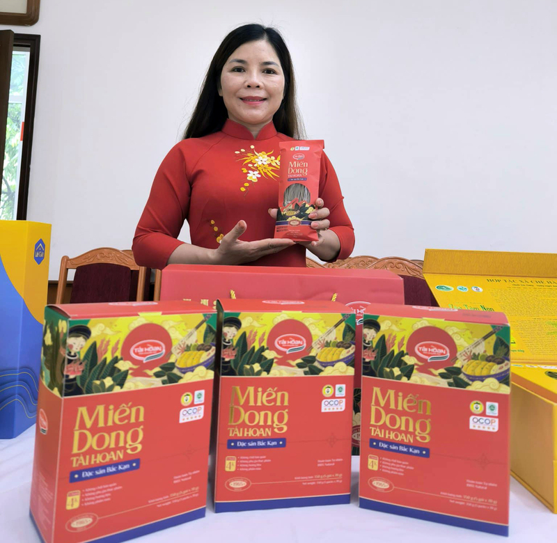 Bà Nguyễn Thị Hoan, Giám đốc Hợp tác xã Tài Hoan. Ảnh: NVCC