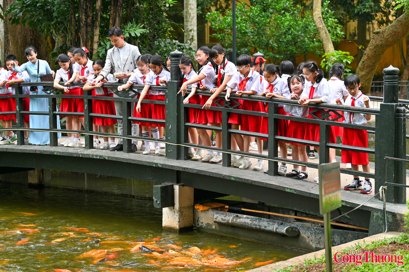Các bạn nhỏ được thăm ao cá Bác Hồ và cho cá ăn.