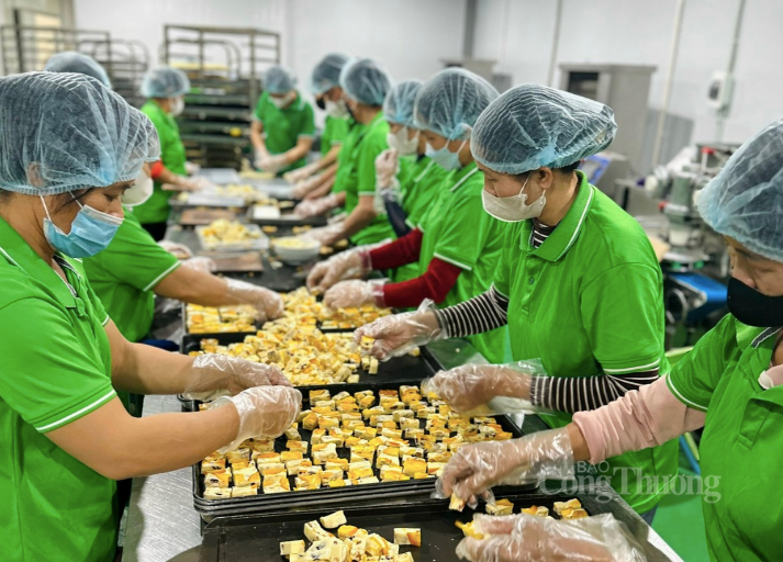 Công nhân tất bật trong nhà máy với nhiều công đoạn khác nhau.