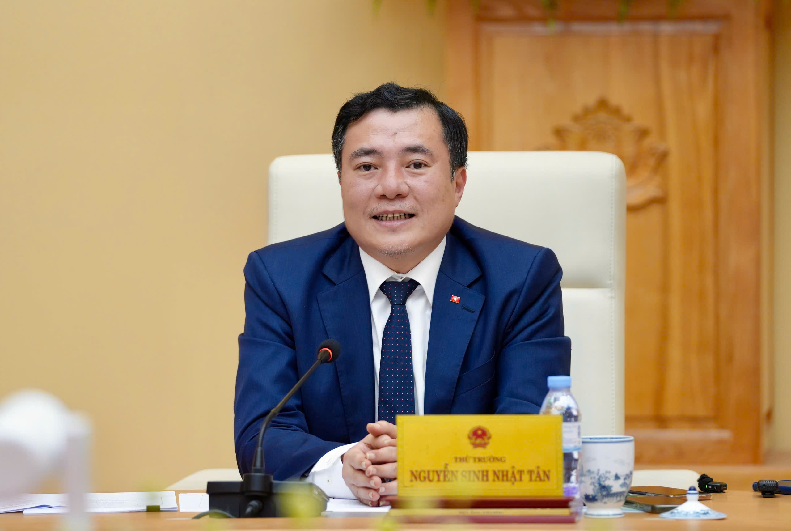 Thứ trưởng Bộ Công Thương Nguyễn Sinh Nhật Tân phát biểu tại hội nghị.