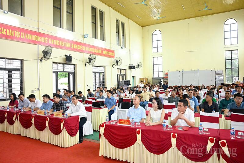 Các đại biểu tham gia hội nghị.