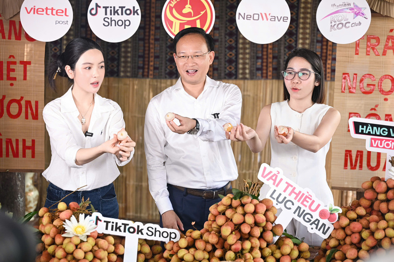 Tại phiên live, thông tin từ Ban tổ chức, nguồn cung vải u hồng không nhiều, chỉ hơn 2 tấn và khẳng định toàn bộ sản phẩm đều là vải tuyển chọn loại 1, đạt tiêu chuẩn VietGAP, đủ điều kiện  xuất khẩu sang các thị trường khó tính như Nhật Bản, châu Âu. Ảnh: TT