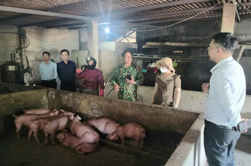 Người dân xã A Lưới 1 từng bước chuyển sang chăn nuôi theo hình thức tập trung, hữu cơ, an toàn sinh học. Ảnh: Nguyễn Tuấn
