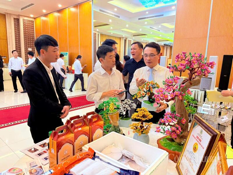 Diễn đàn lần này tập trung vào vấn đề gắn phát triển du lịch với phát triển kinh tế.