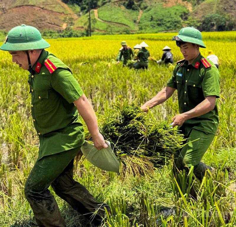 Trước những hành động “vì dân phục vụ”, anh Bun xúc động và cảm ơn sự giúp đỡ của lực lượng Công an xã. “Gia đình tôi rất biết ơn các cán bộ, chiến sĩ Công an xã đã đến giúp đỡ trong lúc khó khăn nhất. Nếu không có sự hỗ trợ này, chắc chắn tôi không thể thu hoạch lúa kịp trước khi trời mưa. Những việc làm của các anh khiến người dân chúng tôi cảm thấy rất ấm lòng”, anh Bun nói.