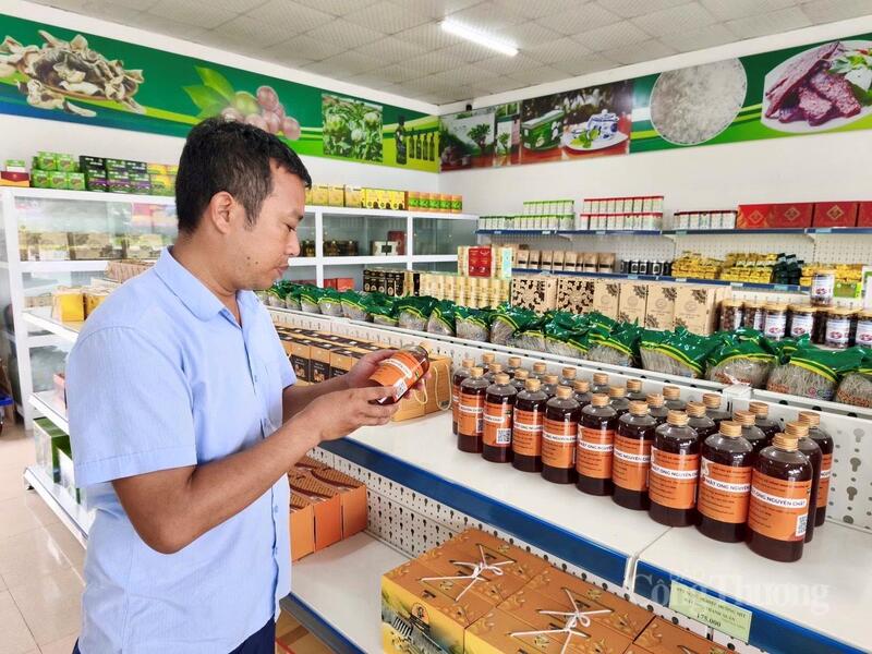 Tính đến hết quý I/2026, tỉnh Lai Châu đã có hơn 200 chủ thể OCOP và hộ kinh doanh tham gia livestream bán hàng trên Facebook, TikTok và Shopee.