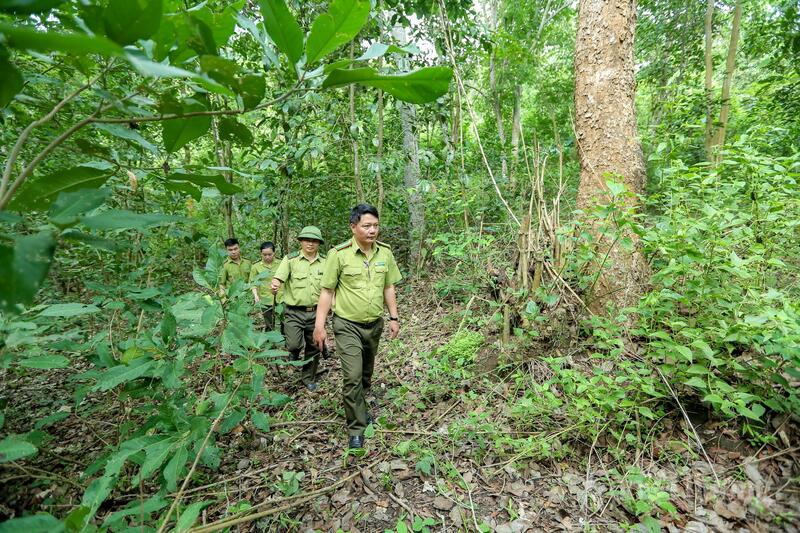Thào Thị Bênh và anh Hà Văn Hóa là một trong những cán bộ kiểm lâm trẻ người dân tộc đang công tác tại Hạt Kiểm lâm Mường Lát. Ảnh: Ngô Nhung