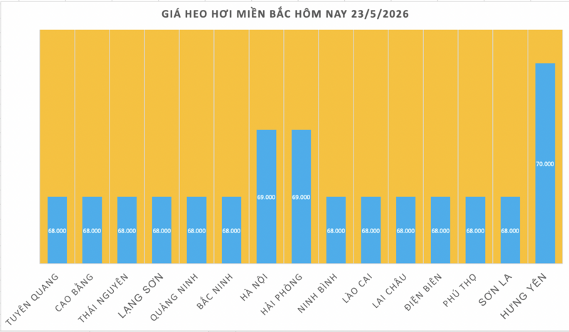 Giá heo hơi hôm nay 23/5/2026: Giảm nhẹ vài nơi - 1