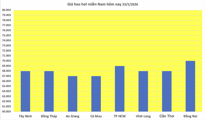 Giá heo hơi hôm nay 23/5/2026: Giảm nhẹ vài nơi - 3