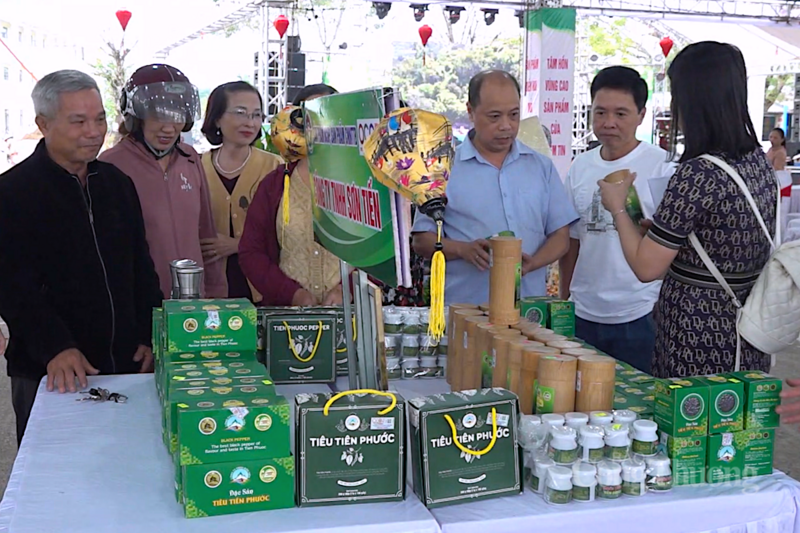 Sản phẩm tiêu thuộc các xã Tiên Phước, Lãnh Ngọc, Thạnh Bình và Sơn Cẩm Hà của TP. Đà Nẵng đã chính thức được Cục Sở hữu trí tuệ cấp Giấy chứng nhận đăng ký chỉ dẫn địa lý “Tiên Phước”