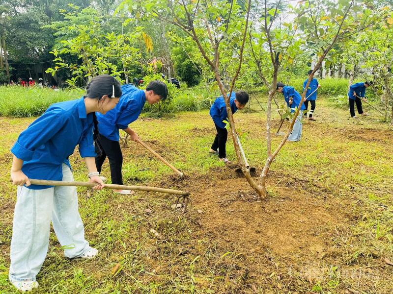 Tuổi trẻ Hà Tĩnh đồng loạt ra quân hưởng ứng Ngày Chủ nhật xanh toàn quốc - 4