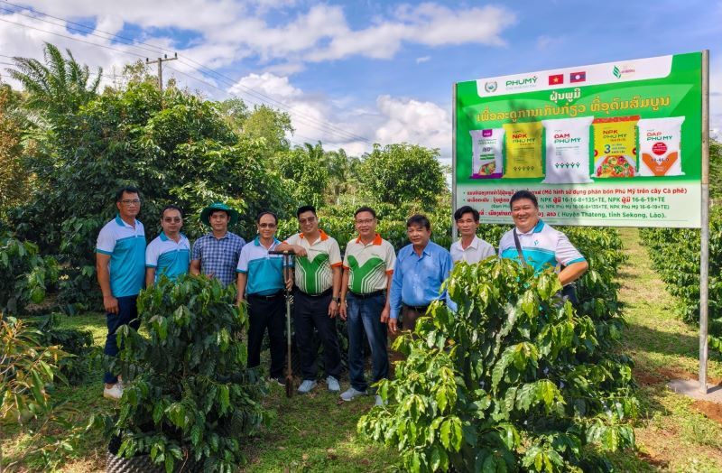 Mô hình liên kết “4 nhà” giữa doanh nghiệp, nhà khoa học, đơn vị kinh doanh và nhà nông đang được Phú Mỹ triển khai hiệu quả tại Lào, góp phần đưa tiến bộ kỹ thuật vào thực tiễn sản xuất nông nghiệp. Ảnh: PVFCCo - Phú Mỹ