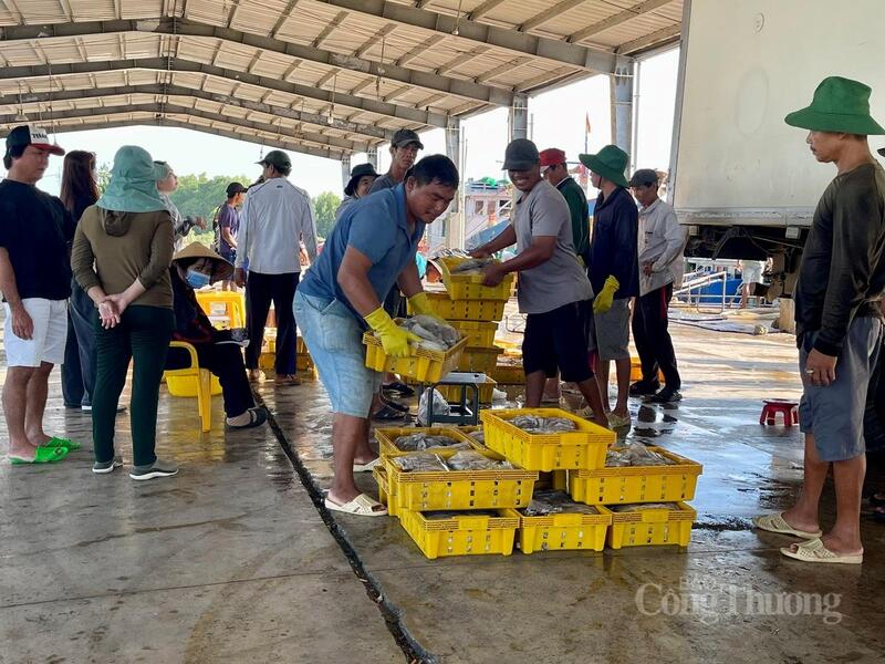 Cần Thơ sẽ kết nối chặt chẽ với cảng biển đặc biệt Trần Đề và các hành lang kinh tế ven biển. Ảnh: Khánh Ngọc.