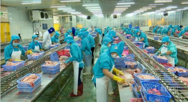 Cần Thơ nâng cao giá trị xuất khẩu cho các ngành hàng chủ lực như nông sản, thủy sản và công nghiệp chế biến. Ảnh: Khánh Ngọc.