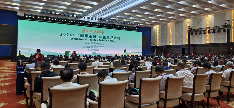 Đoàn tham dự “Ngày Quốc tế Chè” năm 2026 tại Nam Ninh, Quảng Tây, Trung Quốc là cơ hội để doanh nghiệp hai nước thúc đẩy quan hệ hợp tác, xúc tiến giao thương, đầu tư. Ảnh: Vietrade