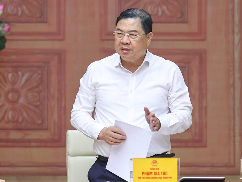 Phó Thủ tướng Thường trực Chính phủ Phạm Gia Túc phát biểu - Ảnh: VGP/Nhật Bắc