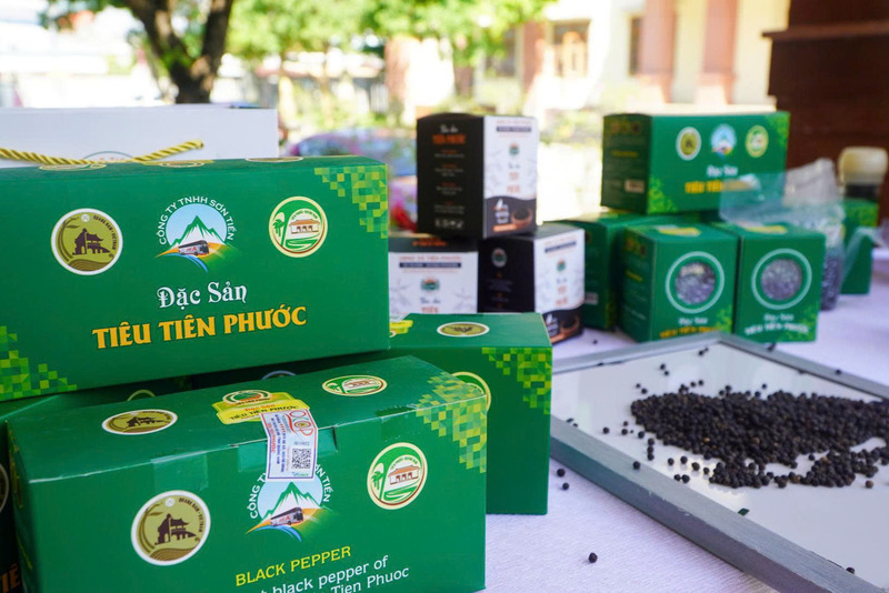 Việc được cấp chỉ dẫn địa lý "Tiên Phước" mở ra cơ hội lớn cho tiêu Tiên Phước nâng cao giá trị kinh tế, mở rộng và nâng cao sức cạnh tranh trên thị trường. Ảnh: Anh Quân
