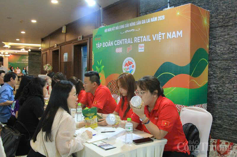 Doanh nghiệp, hợp tác xã và cơ sở sản xuất của Gia Lai đã trực tiếp làm việc với đội ngũ thu mua của Central Retail Việt Nam, đơn vị sở hữu hệ thống siêu thị GO!, Tops Market và mini go! trên toàn quốc. Ảnh: Hiền Mai