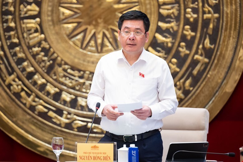 Phó Chủ tịch Quốc hội Nguyễn Hồng Diên phát biểu tại buổi làm việc.