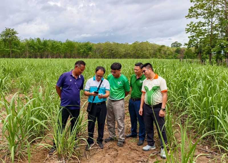 Chuyên gia, cán bộ kỹ thuật Phú Mỹ cùng đội ngũ kỹ thuật TTC Attapeu thực hiện đo dinh dưỡng đất tại ruộng mía. Ảnh: PVFCCo - Phú Mỹ