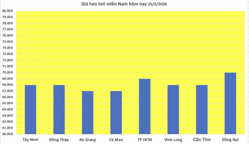 Giá heo hơi hôm nay 25/5/2026: Đi ngang trên cả 3 miền - 3