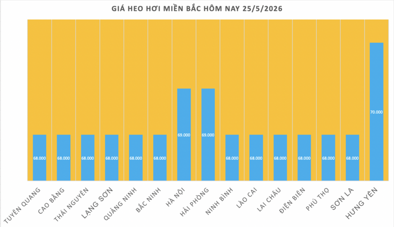 Giá heo hơi hôm nay 25/5/2026: Đi ngang trên cả 3 miền - 1