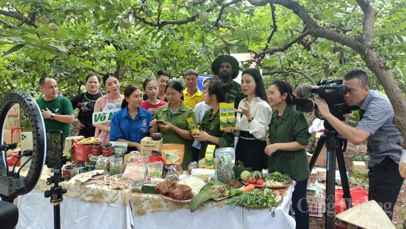 HTX sản xuất và thương mại dịch vụ Bản Việt livestream giới thiệu nông sản địa phương tại vườn na Võ Nhai.