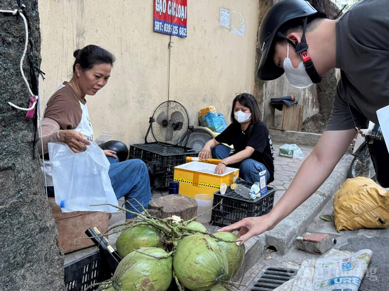 Dừa xiêm tăng giá những ngày nắng nóng. Ảnh: Minh Trang