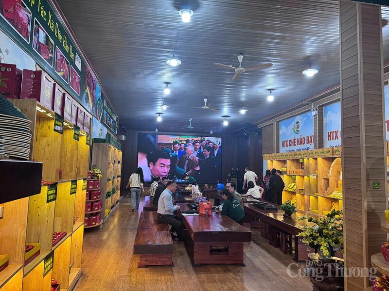 Không gian văn hóa chè gắn với du lịch trải nghiệm tại HTX chè Hảo Đạt