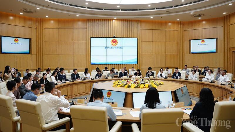 Toàn cảnh buổi làm việc. Ảnh: Diệu Linh