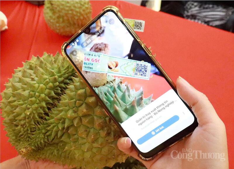 Hệ thống truy xuất nguồn gốc nông sản đã được đưa vào vận hành thí điểm, trước mắt với mặt hàng sầu riêng. Ảnh: Nguyễn Hạnh