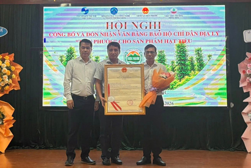 TP. Đà Nẵng đón nhận văn bằng bảo hộ chỉ dẫn địa lý "Tiên Phước" cho sản phẩm hạt tiêu hôm 25/5. Ảnh: Hoài Phương